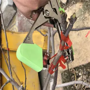 ����֦������� �������Ѱ����� ʡ�˹���֦��
