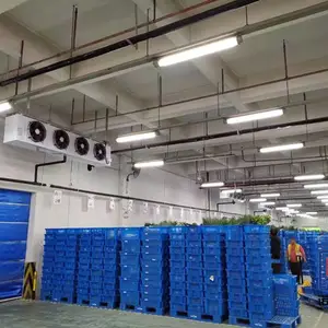 建造一个1000吨的高温冷库需要多少钱?