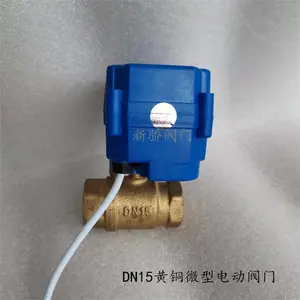 白城黄铜微型电动阀门 6分