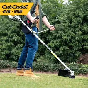 �����Ƶ�CubCadet��ݻ���ݻ��������ݻ�԰�ֻ�е�ޱ߻�