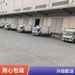 重庆到南宁专线直达 冷链运输 全境快速往返直达