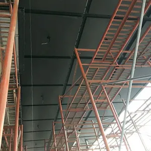 �Ƶ����� �������������� �㶫���ɫ������