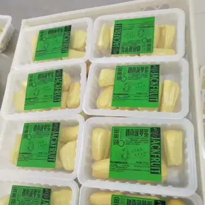 ѼѪȫ�Զ������հ�װ�� ������װ��շ�ڻ�