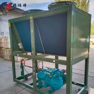 15P浙江比泽尔风冷机组冻品仓储冷冻机组