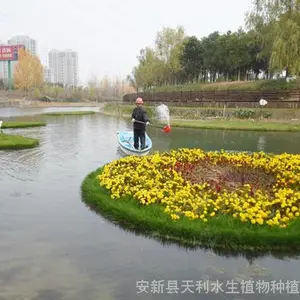 ������ά����ʪ��,ˮ���̻�ֲ�︡��,�˹�����