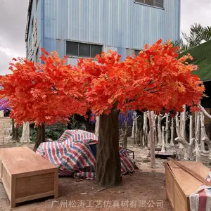 ���������㼦צ�� �������֦Ҷ�辰 �����������������װ��