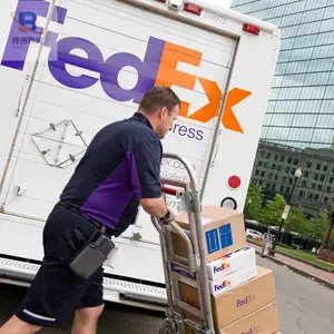 ����̫���۾�DHL�������˫���˰����������� ��������