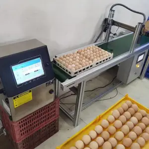 榆林白酒喷码机饮料矿泉水日期打码机领志全自动灌装机激光打标机