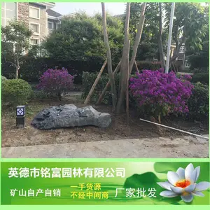 浙江太湖石 浙江太湖石假山? 黑色假山石批发 黑色景观石4