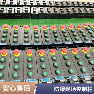 BZC ���������� �ڹ�ʽ������ť�� ��ָʾ��ת�����ػ����ֳ�������