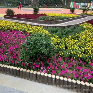 ˮ���ľ׮ ��������̬��׮ʯ���� ��������ľ׮