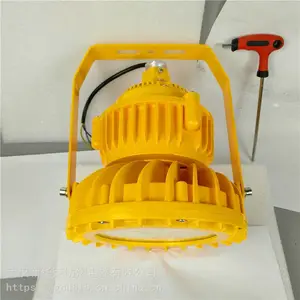 华荣 制药厂LED防爆灯120w 炼化厂LED防爆灯120w 欢迎选购