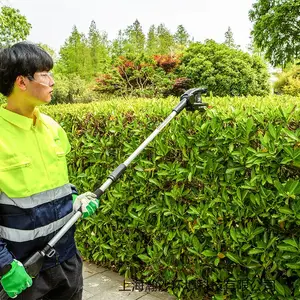 48v��֦�����������greenworks�綯����� ԰����ֲ��֦��