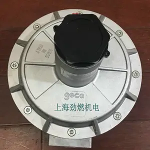 RG040-1B|RG040-2B ԭװ���������GECAȼ����ѹ�� ��ѹ�� ��ѹ��