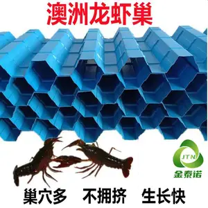 ��̩ŵ ������Ϻ��ֳ�� ����6.5cm��Ϻ�� �з��Ϻ��������ҵ�þ�