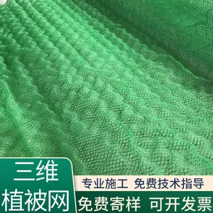 山东 HDPE三维植被网 土工三维网 护坡绿化工程材料 草籽固土土工网垫