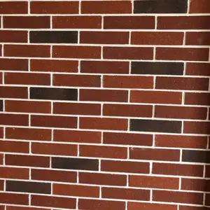 ��Ӧ��שĻǽ���ɹ���ש
