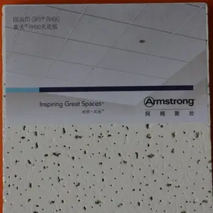 ��ķ˹׳RH90���ް�����600x600x14mm������