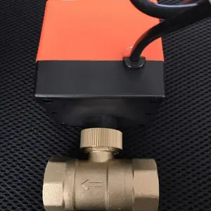 DN20电动两通阀