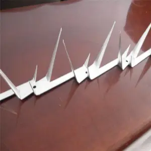 ��п��Ŵ̶� С��Ժǽ�����̶� ��������������