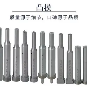 精密模具配件用于冲压模具钨钢冲针异型SKD11冲头