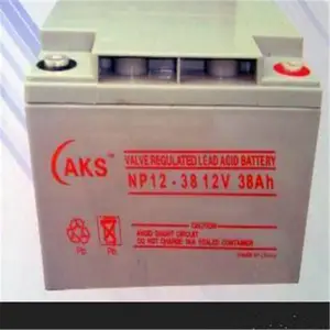 �¿�������NP12-24 12V24AH���۶��ٵ���