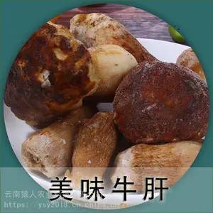 高原食材 美味牛肝泡沫箱1.5公斤 净重2斤 酒店餐馆家庭一件代发