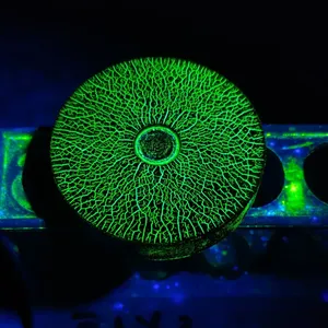 CGM CIGIEMME 磁粉测试,渗透测试和超声波检测及配件