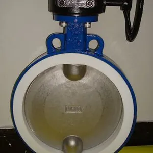 D371F4型对夹式衬氟蜗轮蝶阀