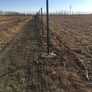 畜牧养殖网 养殖网栏 带刺铁丝网