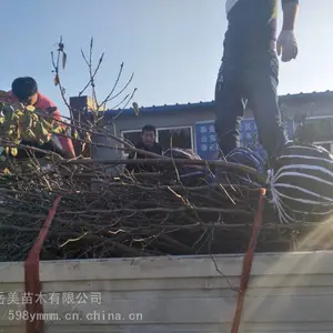 �������ӣ����۸� 1�������ӣ���籨��