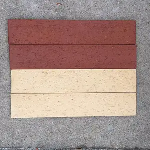 ���������������ש_�㽭ʡ��������ש_����שרҵ����