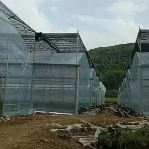 安徽蚌埠仓库型连体大棚设计安装 薄膜连栋大棚多少钱一亩