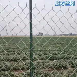 草原防护热镀锌勾花防护网 喷播植草绿化菱形网 耐腐蚀