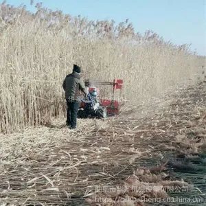 ���������ո�� ���곯�콷�ո��