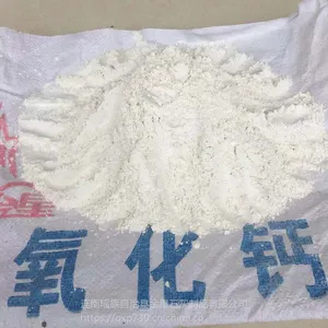 厂家直销广东生石灰粉氧化钙25kg防潮防虫干燥剂除硫污水处理
