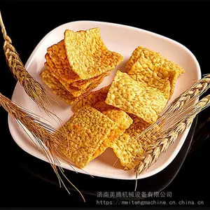 �򻯿���Ƭ�ӹ����� ����������ʳ�������豸