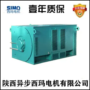 ����̩������������Y5002-10/250KW/10KV��ѹ�����չǰ��***