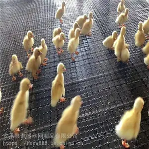��ɫ���ϸ�դ ������դ���� ����������դ����