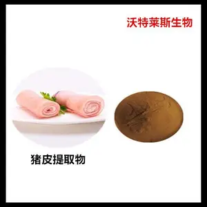 猪皮提取物10:1 猪皮原粉 猪皮肽粉