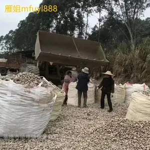 供应广州污水处理鹅卵石-3-5鹅卵石水池底部装饰-公园铺路造景石材