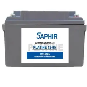 SAPHIR蓄电池PLATINE12-200 12V200AH直流屏UPS电源配套使用