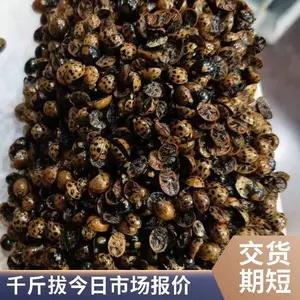 ��ҩ������ǧ��� ���汣������ֱ�� ***��