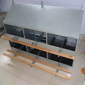 �ּ��ò����� �������� �ȶ�п ��������