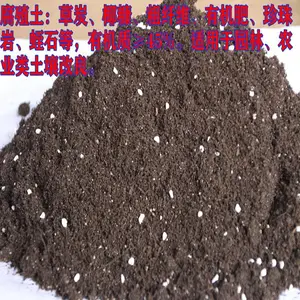 ����Ӫ���� �л��� ��̼�� ��ֳ�� ʵ������ ���췢����