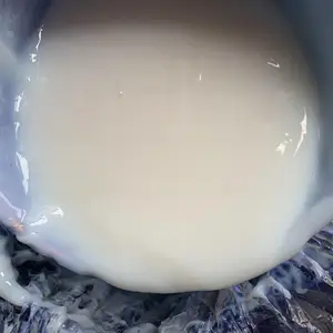 厂家供应高含量丙乳白色防水防腐