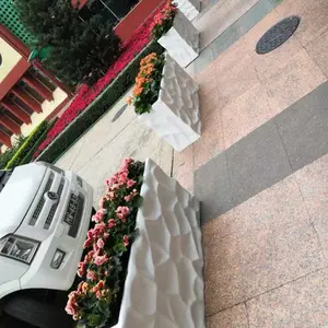 ����������ʽ��Լ������֬��������ػ��� ����ֵ���·�߻���