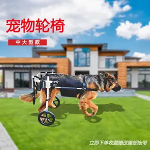 �������γ� ����֫�м������������� ���Ȳм������γ�