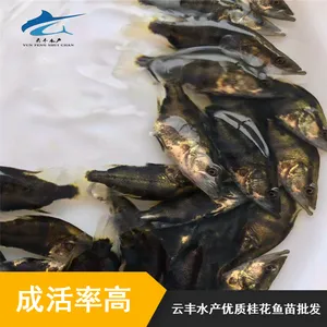 ���ٿ������ ��Դ������ �㶫���������� ��������