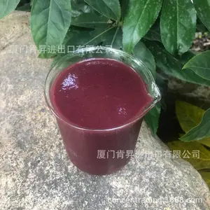 进口冷冻车厘子原浆樱桃浓浆食品饮料工业餐饮茶饮原料